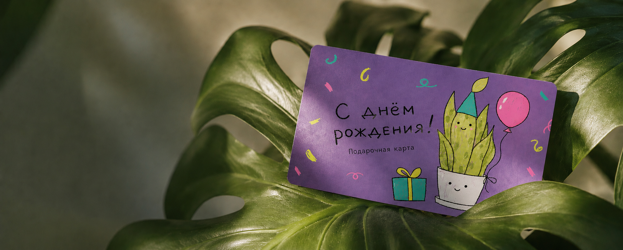 Подарочные карты Plantis